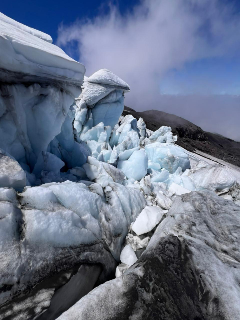 WhatsApp Image 2026-01-06 at 13.41.32 (1)