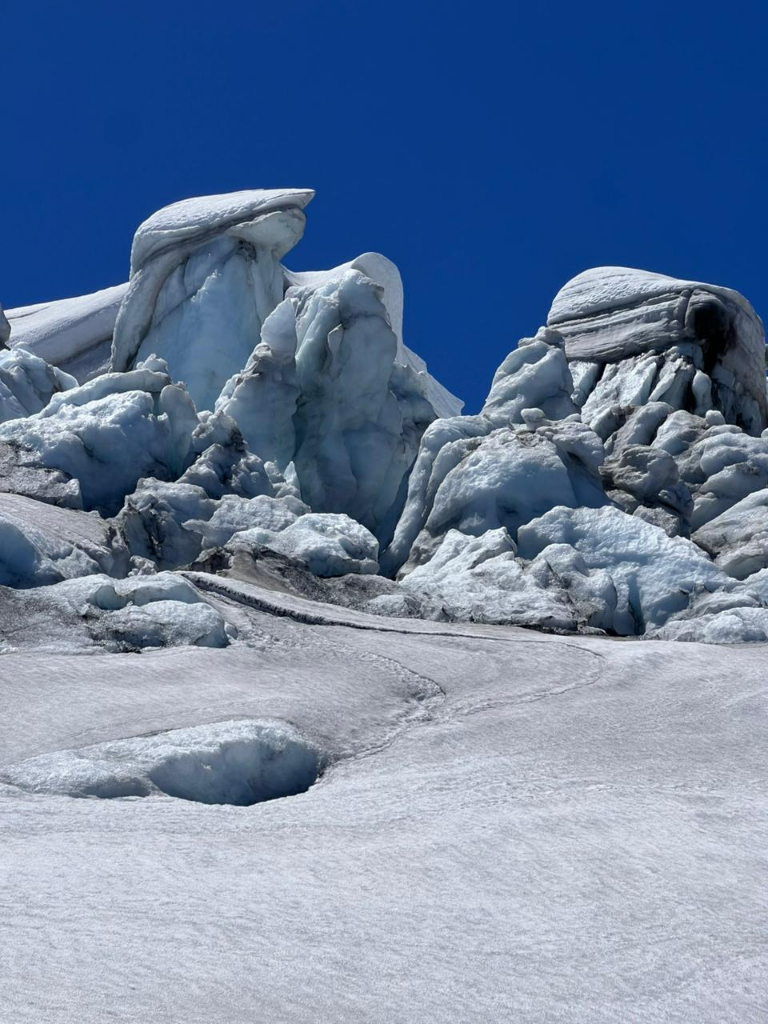 WhatsApp Image 2026-01-06 at 13.41.32